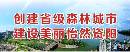 用力插骚逼搅动视频创建省级森林城市 建设美丽怡然资阳